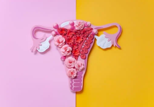 Endometriosis: ¿Qué es? Causas, complicaciones y opciones de tratamiento 1